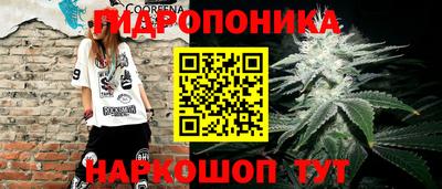 прущие грибы Гусь-Хрустальный