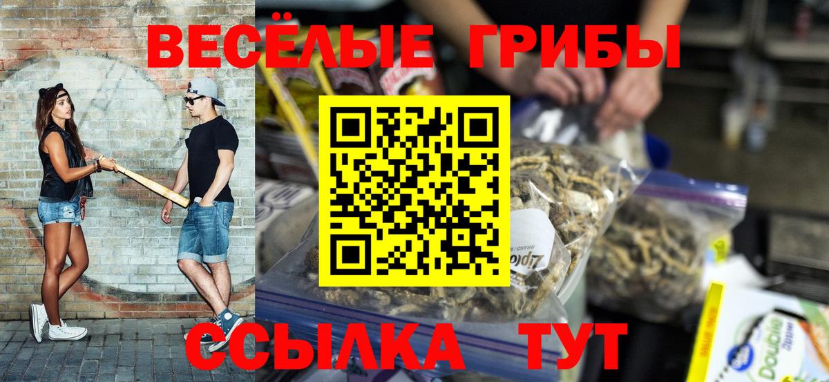 Галлюциногенные грибы мухоморы Мыски
