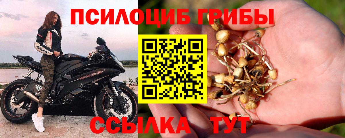 Галлюциногенные грибы MAGIC MUSHROOMS  Вход с VPN  Мыски 
